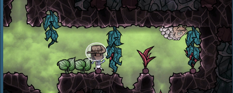 缺氧毛鳞壁虎到底干嘛用？值得你专门养吗？