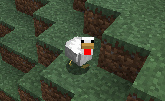 我的世界鸡图鉴：从新手到老玩家都离不开的小家伙