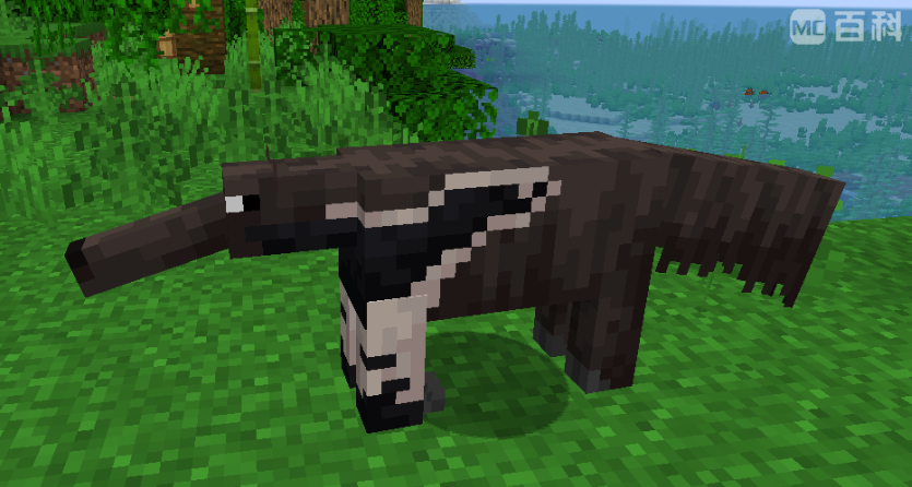 《我的世界Alex的生物食蚁兽现在能在哪见到？》