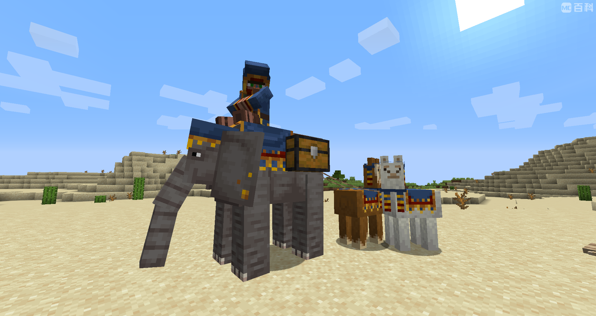 《我的世界》里想找大象？先别急，我们把话说清楚