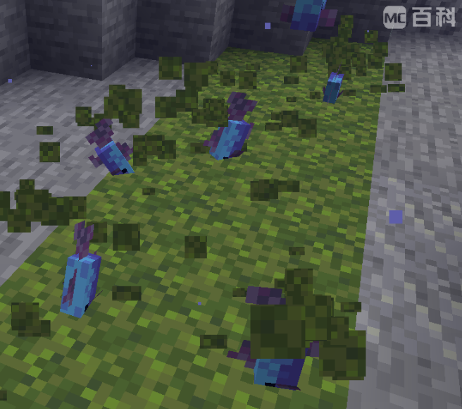 《我的世界 Alex 的生物魔鳉到底去哪儿找？》