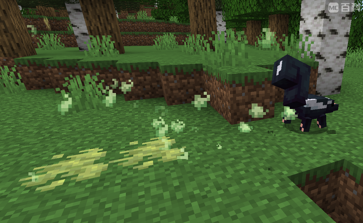 《我的世界》Alex的臭鼬在哪？当前版本的真实情况说明