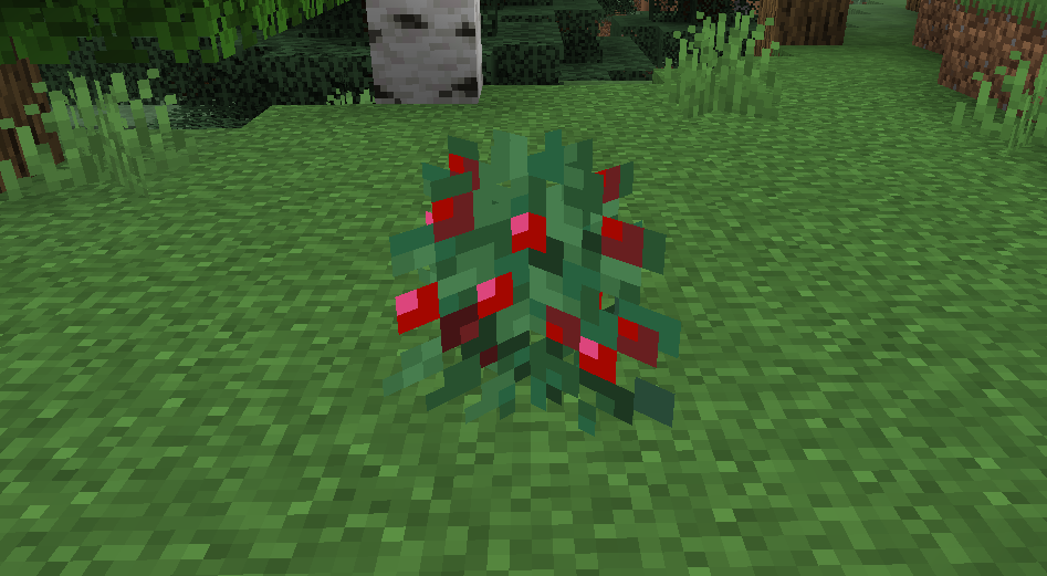 我的世界甜浆果怎么获得？实用党一篇讲透