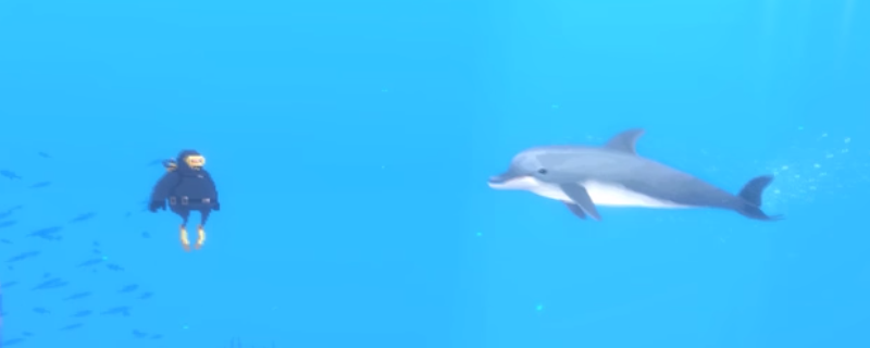 潜水员戴夫华美特级寿司套餐到底厉害在哪？一口气给你说明白