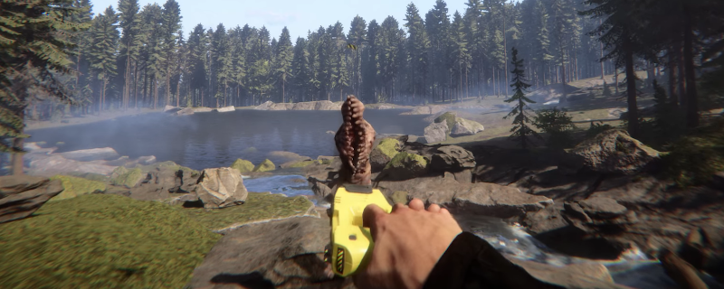 森林之子体力值都被什么影响？一篇讲人话的实战笔记