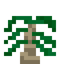 我的世界格雷科技6里，椰子树苗到底有啥用？