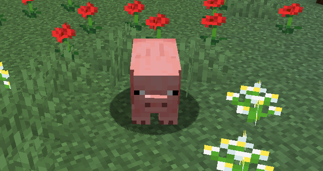 我的世界猪图鉴：一个老玩家眼里的“粉色老伙计”