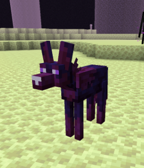 《我的世界》Alex的鬃狼怎么找到？这里把话说清楚了