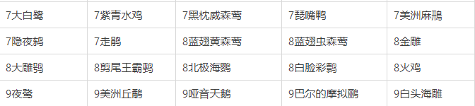 展翅翱翔全卡牌总览：都有什么，怎么玩？