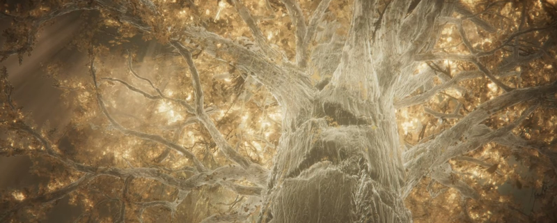 艾尔登法环唤起风暴战灰有什么用？属性特点详细聊聊