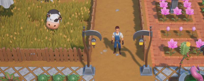 珊瑚岛家具店在哪？新手也能轻松找到的路线说明