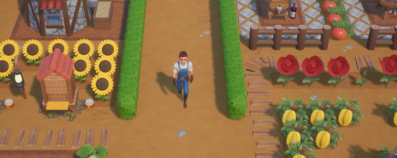 珊瑚岛下矿挖到没体力了？这篇说人话的解决办法