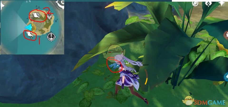 《原神布丁岛宝箱与海螺全收集：路线、机关与细节一篇讲透》