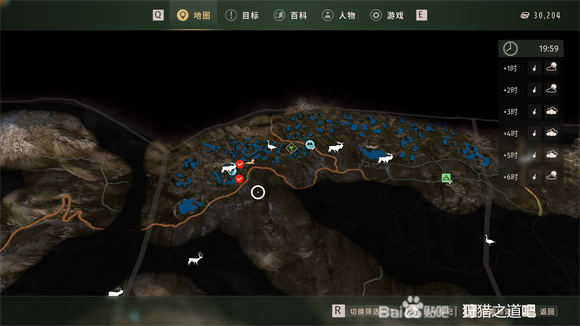 狩猎之道：怎么拿下五星小斑背浅鸭和细嘴鸭