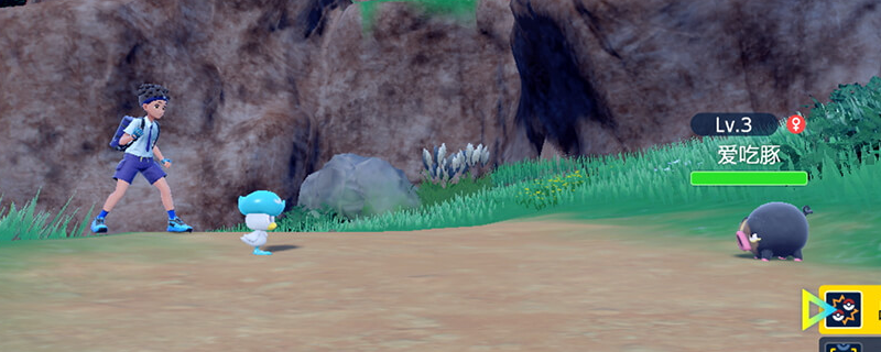 宝可梦朱紫：新叶喵值不值得选？一位老玩家的实话实说