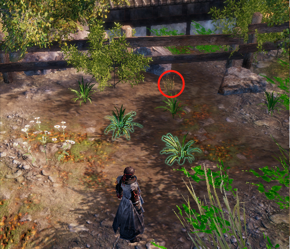 《〈天命奇御2〉厨艺大赛支线任务全流程详解》