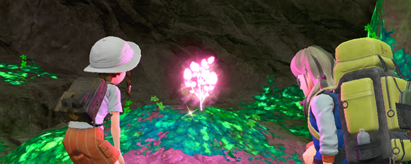 宝可梦朱紫狗仔包值不值得入手？一篇给玩家看的真心话