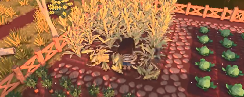 Dinkum里的金色大球，到底是干嘛的？