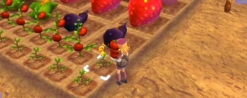 符文工厂5药剂配方一览：炼药系统怎么玩更舒服