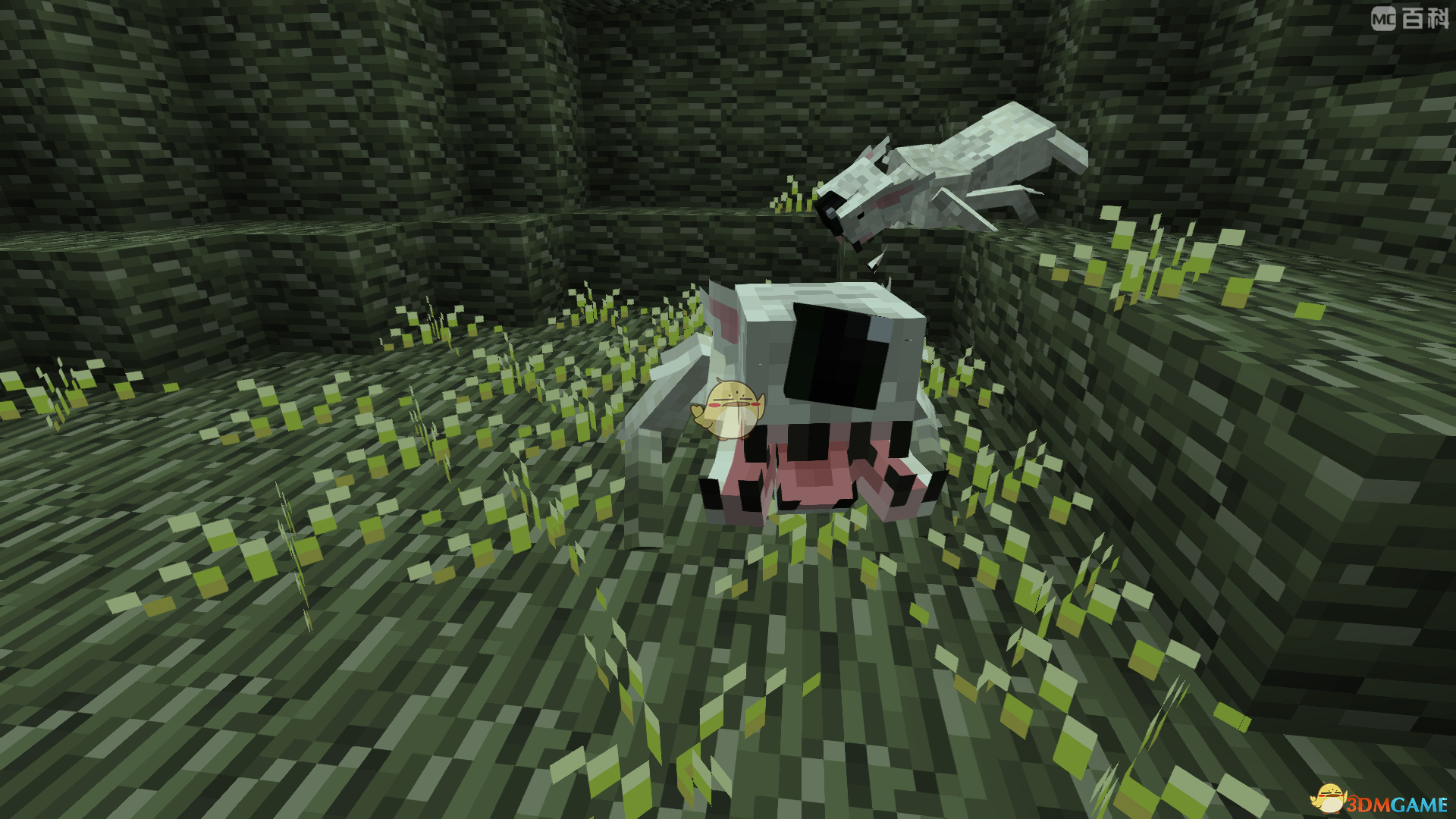 《我的世界》交错次元里，尾行者怎么打？一份真·实战向小攻略