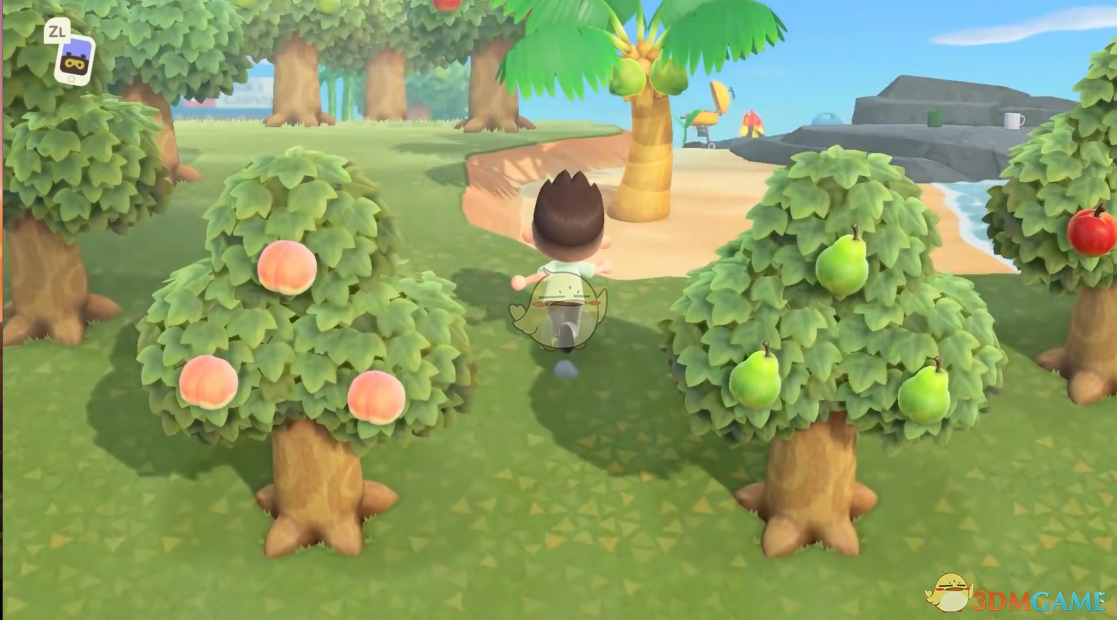 《动物森友会》不去狼蛛岛也能刷狼蛛？这套玩法你别错过