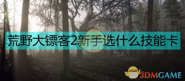 《荒野大镖客2》新手配卡，不装的实用入门指南