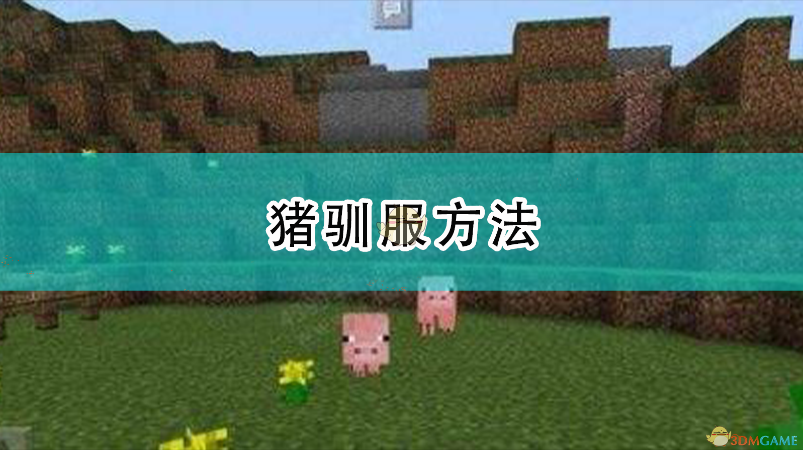 《我的世界》里想骑猪？这篇算是说清了