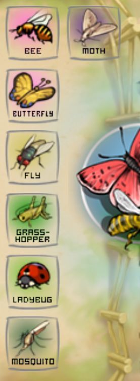 《〈涂鸦农场〉全动物图鉴与合成路线，一篇看懂》