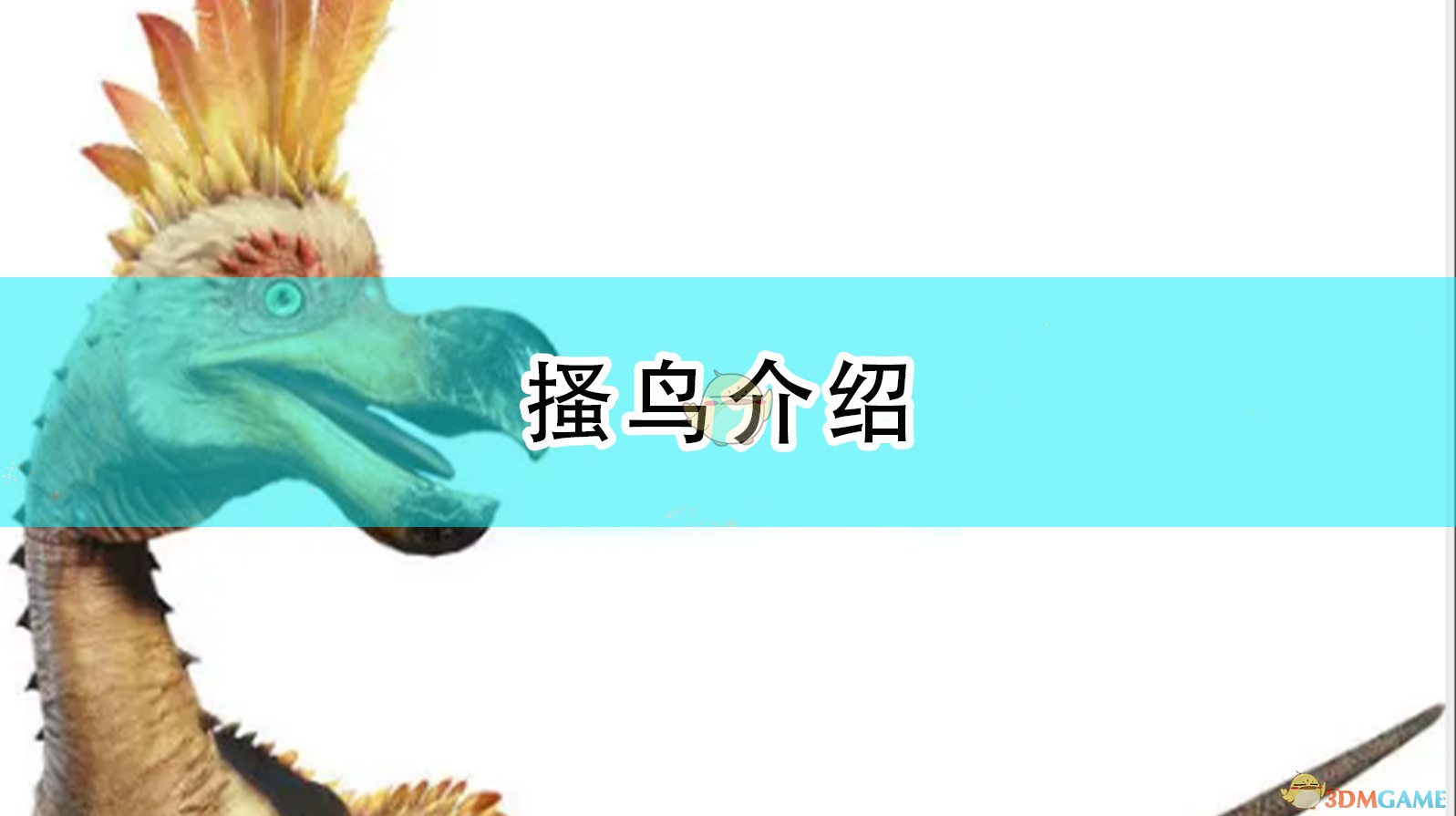 怪物猎人：崛起搔鸟图鉴与实战心得