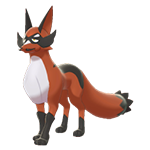 《宝可梦：剑/盾》狐大盗介绍与进化说明