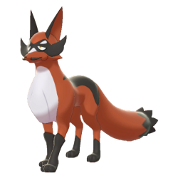 《宝可梦：剑/盾》狐大盗介绍与进化说明