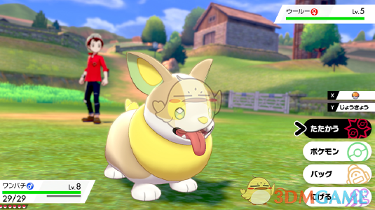 来电汪：一只“追着电跑”的新伙伴