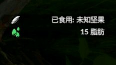 《〈绿色地狱〉里坚果到底值不值得吃？实测效果简单说说》
