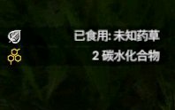 《绿色地狱》中百合叶的正确吃法与简单用途说明