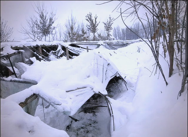 本轮寒潮不及2008年为何却更需警惕