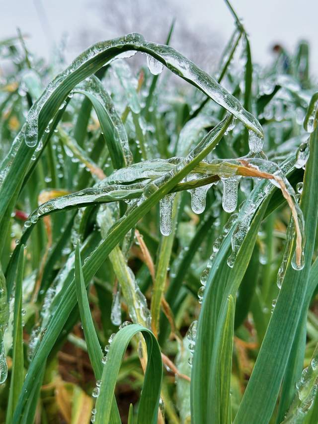 本轮寒潮不及2008年为何却更需警惕