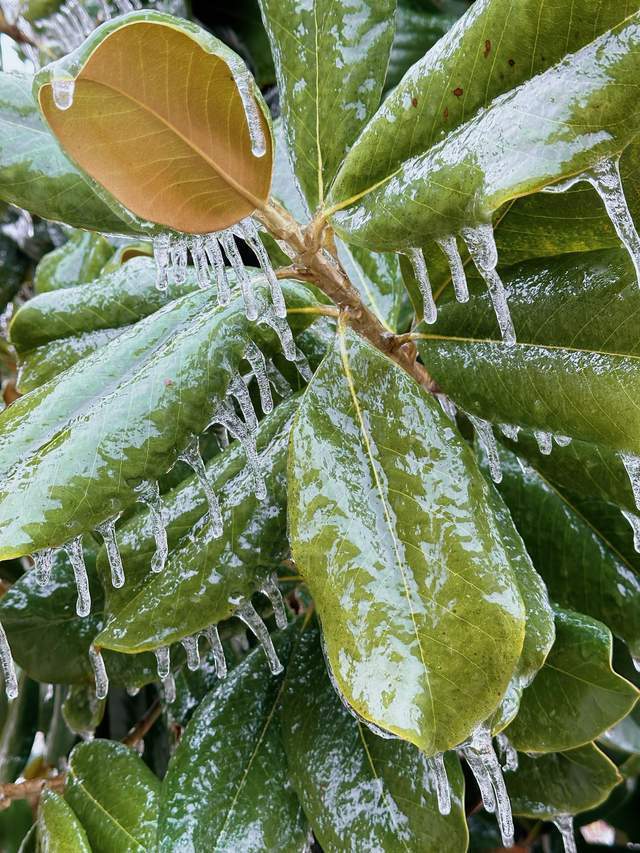 本轮寒潮不及2008年为何却更需警惕