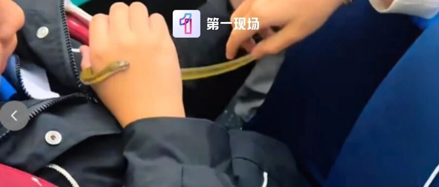 深圳地铁车厢内有人掏出活蛇玩耍