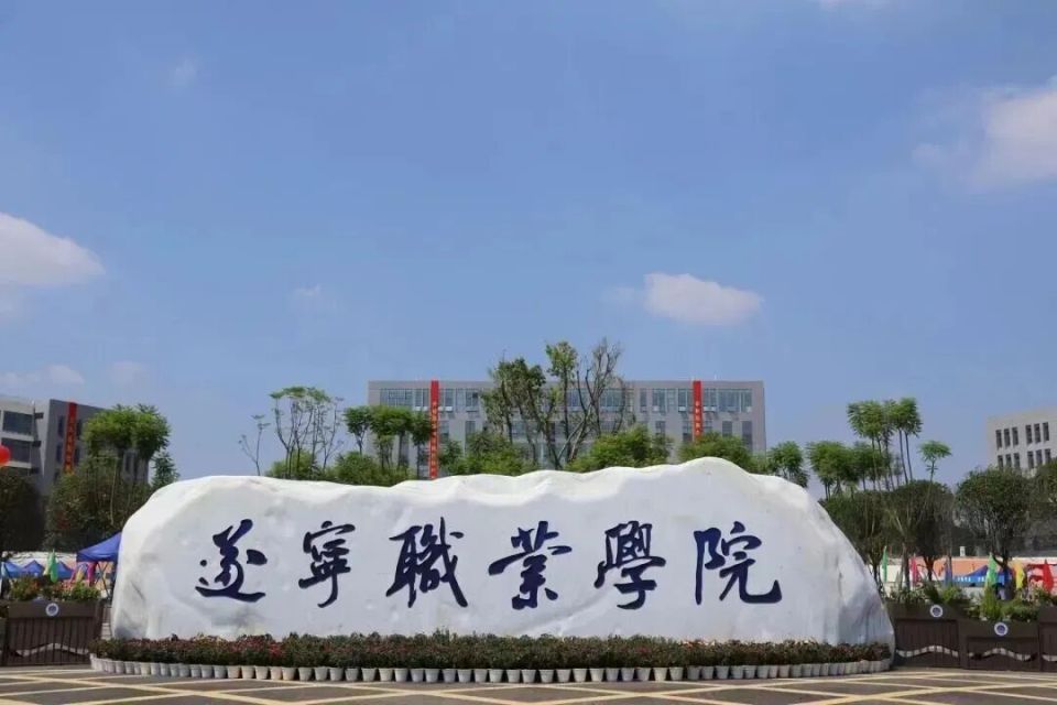 四川一大学生称学校要发成绩给家长