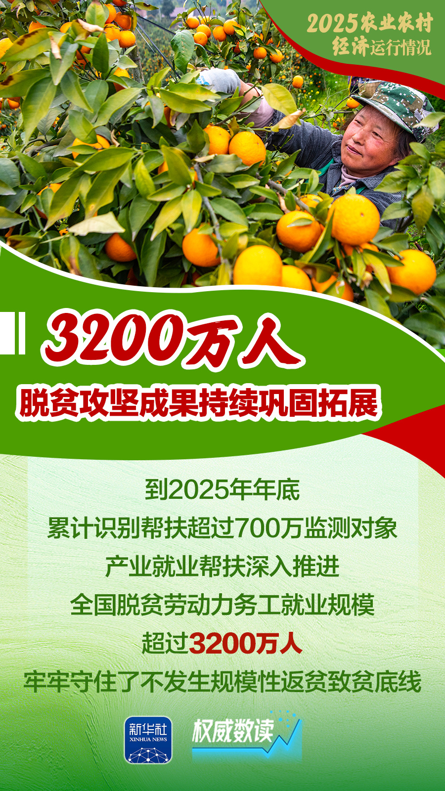 2025农业农村经济运行成绩单来了