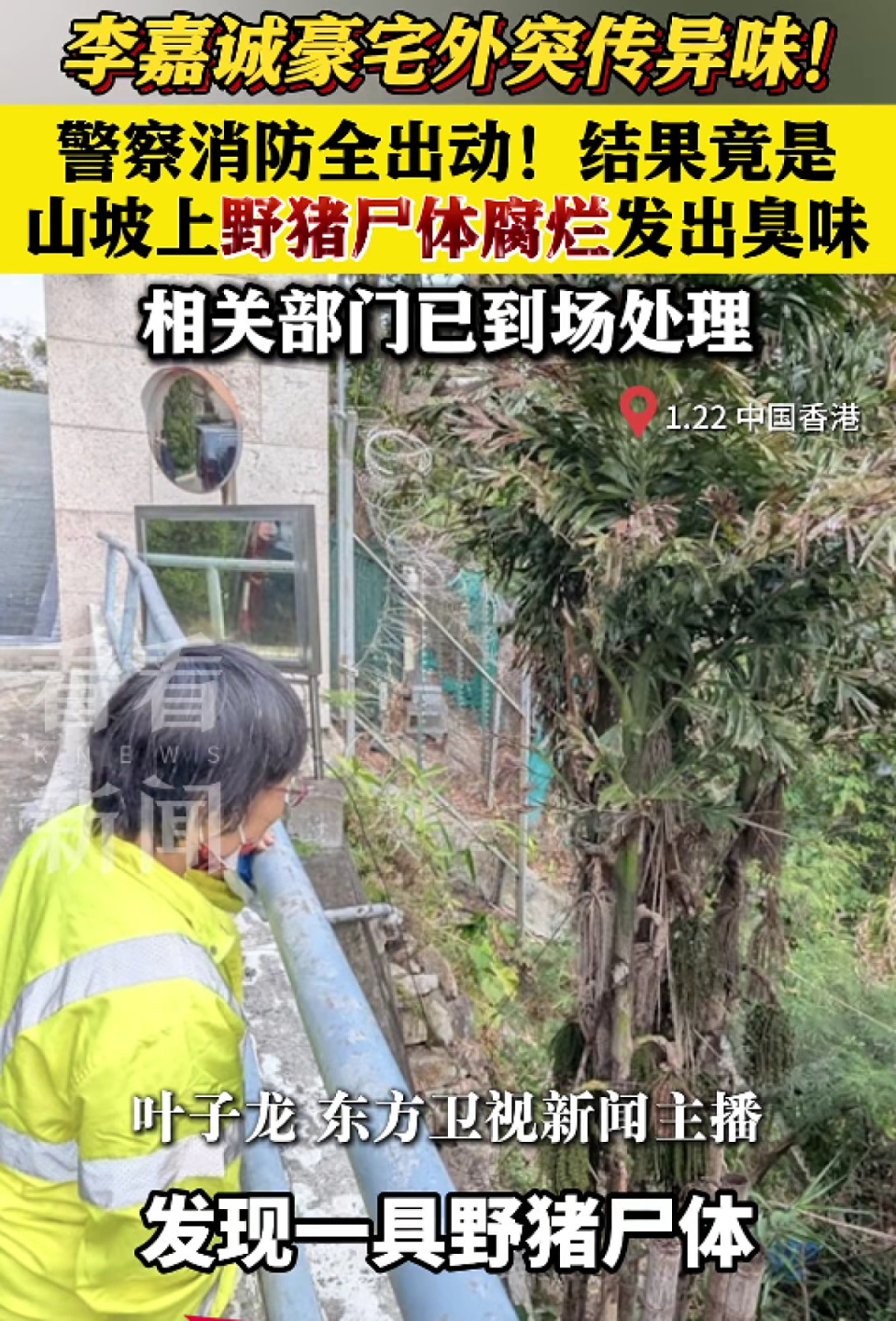 李嘉诚豪宅外传异味警方发现野猪尸体