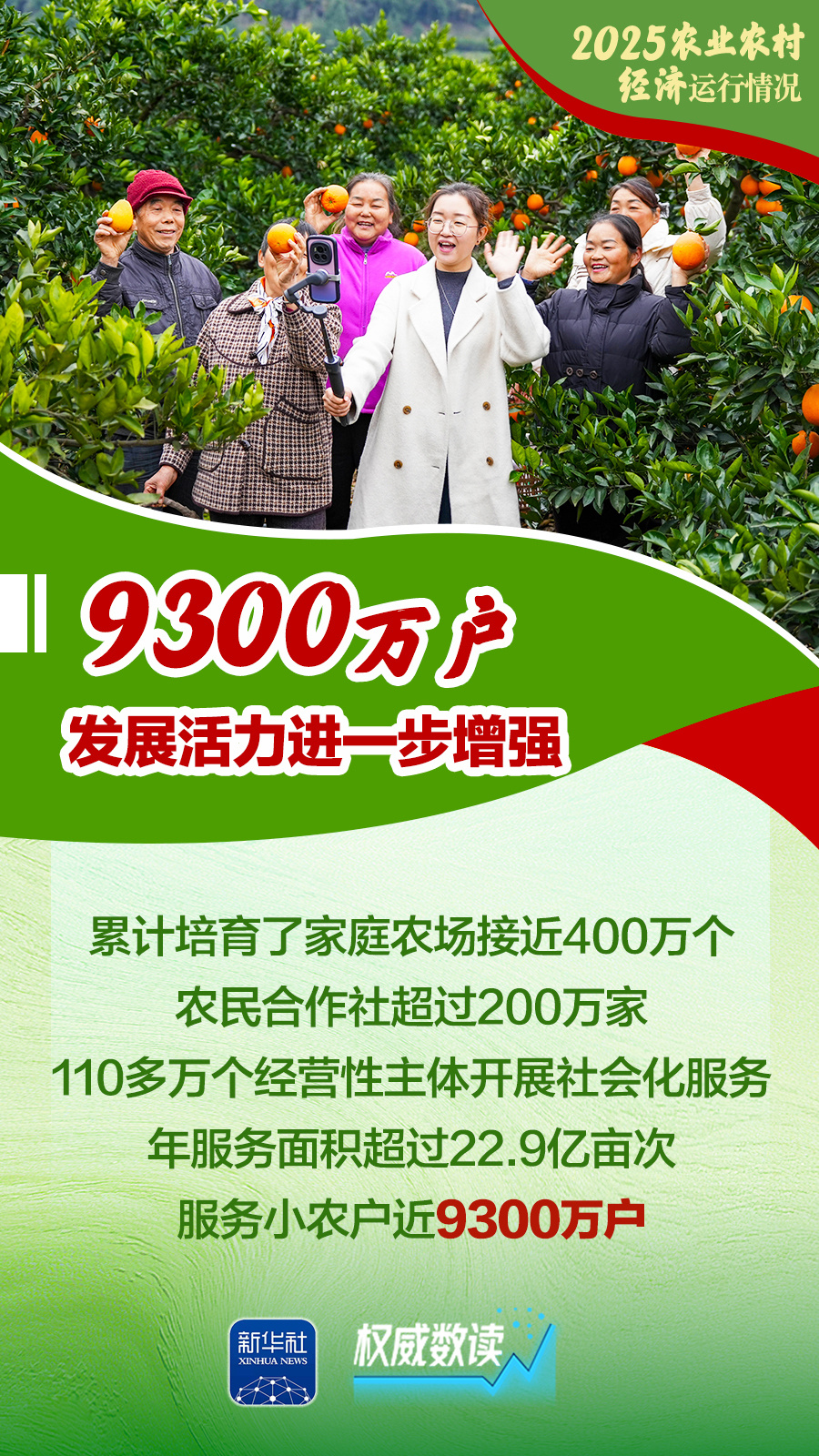 2025农业农村经济运行成绩单来了