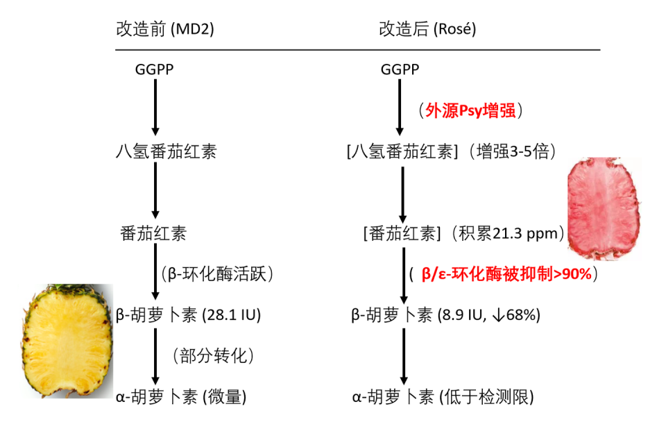 800元一个的粉菠萝是收颜色税吗