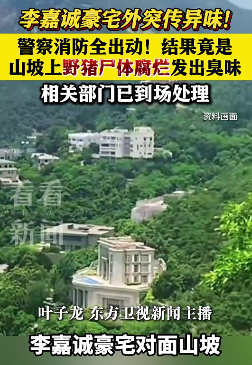 李嘉诚豪宅外传异味警方发现野猪尸体
