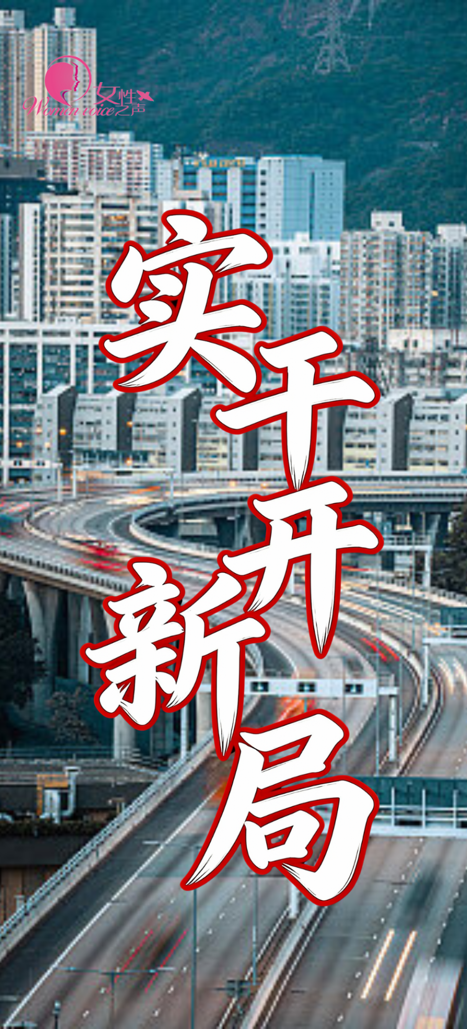 娇龙月季名字定了