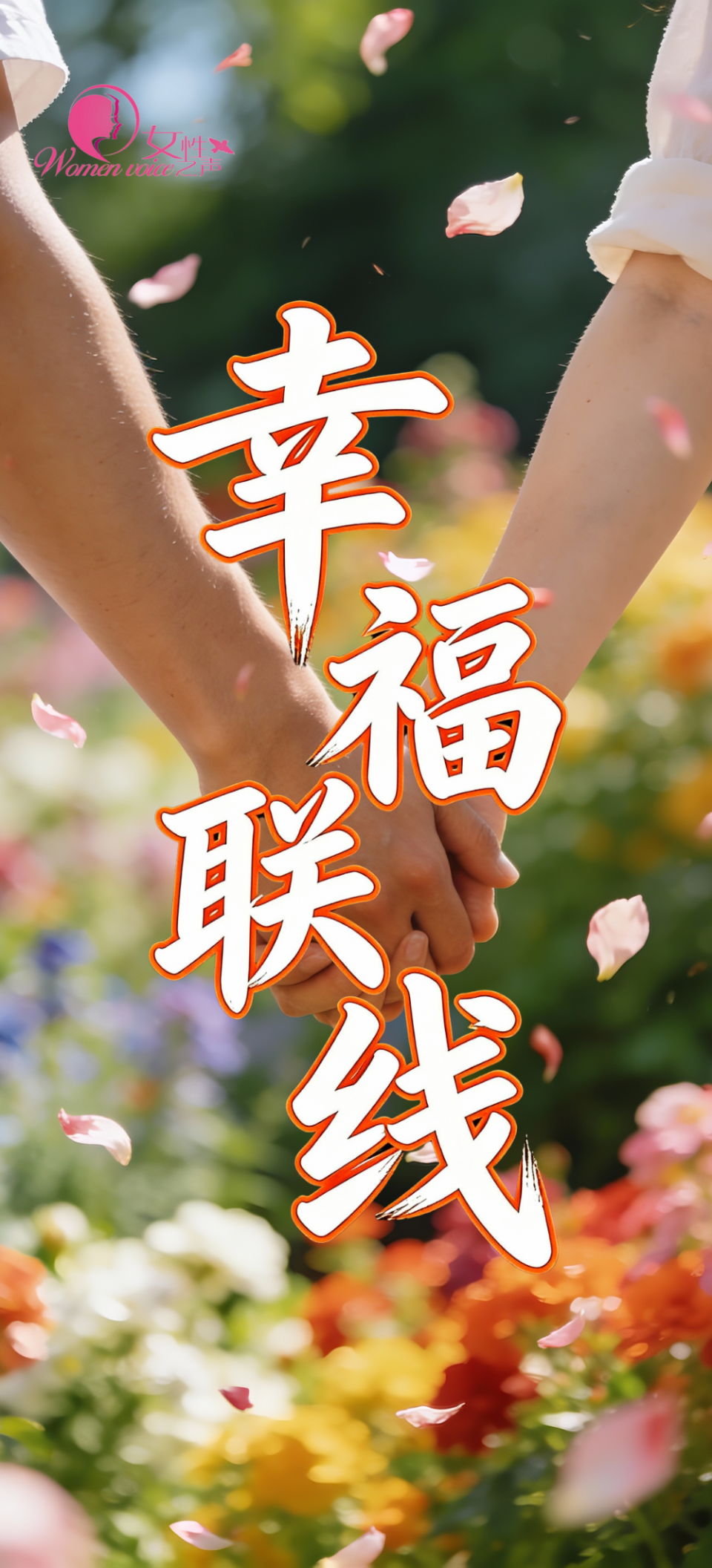 娇龙月季名字定了