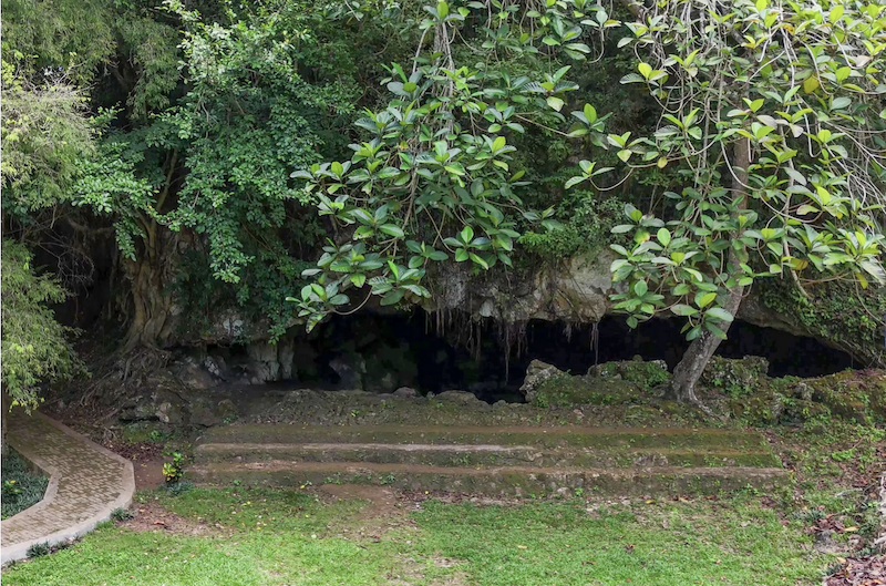 6.78万年！最古老岩画现身印尼