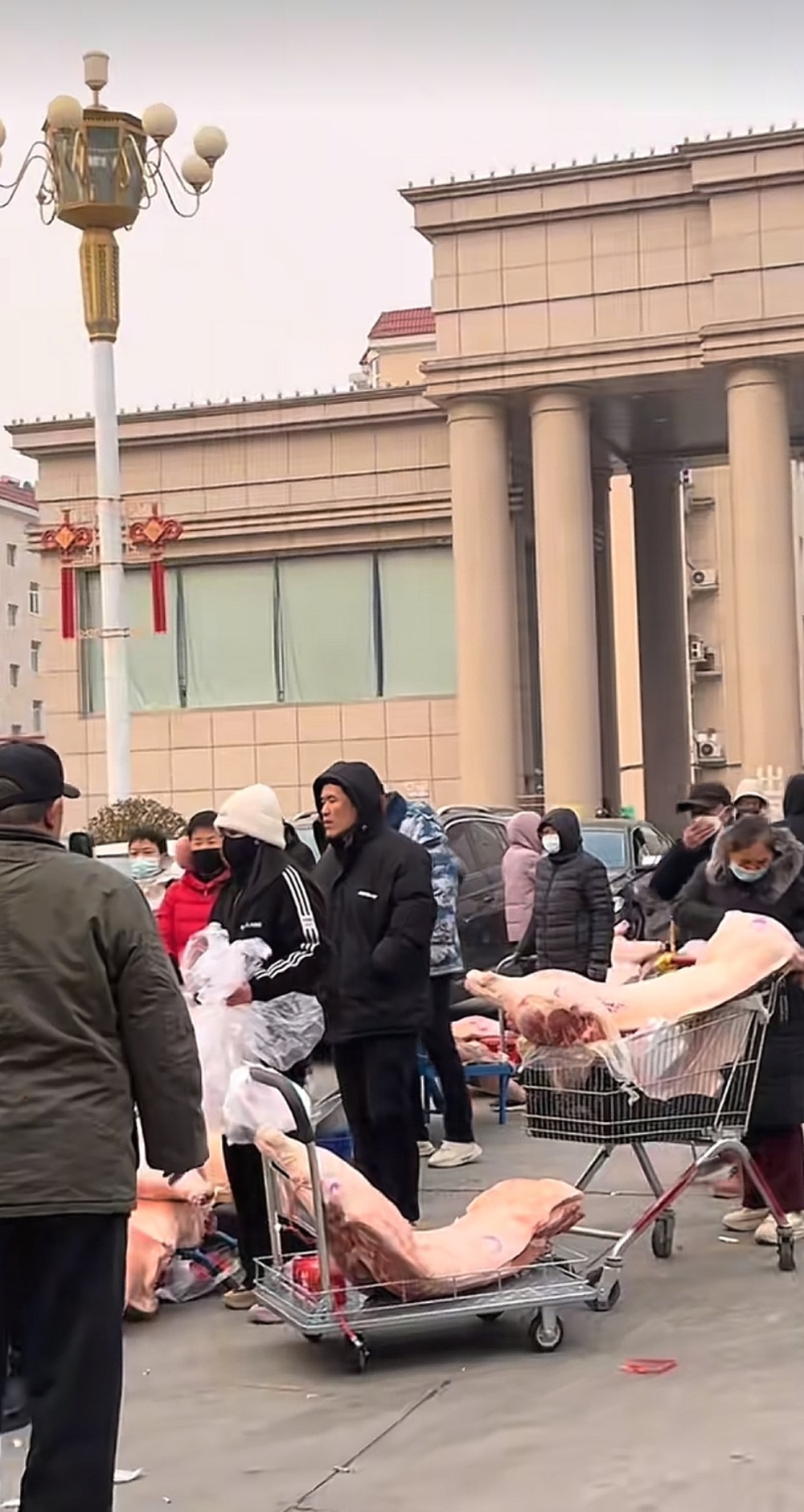 社区过年每人发11000元和半只猪