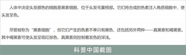 洗发水白发洗黑是假收智商税是真