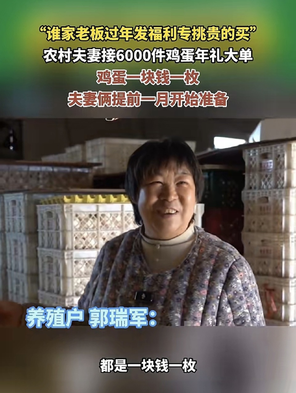 河南养鸡夫妻36万枚鸡蛋卖出36万元